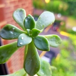 Meet your Posher, Ocean